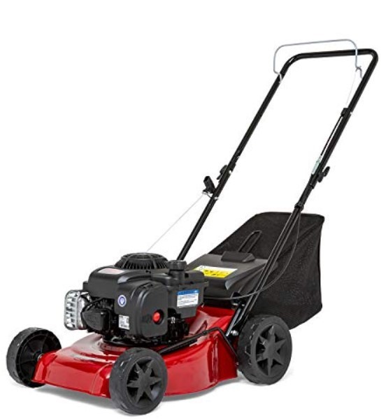 ремонт газонокосилок Briggs Stratton